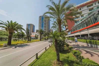 a street with palm trees next to a building at Apartment Andrea in Budva