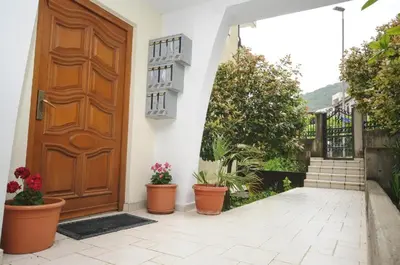 a door to a house with potted plants on the porch at Apartment Jana in Petrovac na Moru