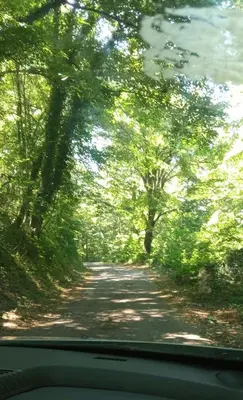 a view from a car window of a road with trees at Village house Iva in Virpazar