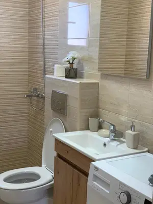 a bathroom with a toilet and a sink at Lara i Mirko Apartments in Mrčevac