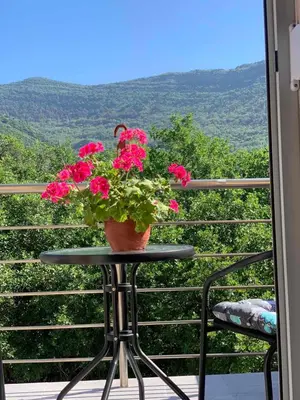 a pot of flowers sitting on a table on a balcony at Lara i Mirko Apartments in Mrčevac
