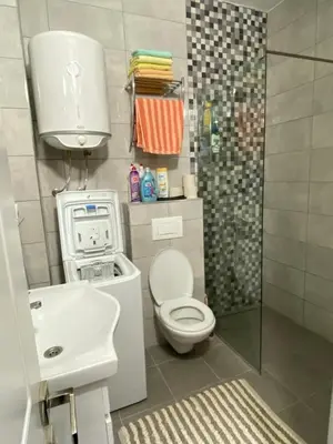 a bathroom with a toilet and a sink and a shower at Apartment SONJA in Ulcinj