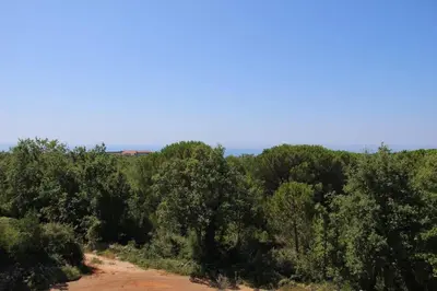 a dirt road through a forest of trees at Villa Elena Zagora in Neodi