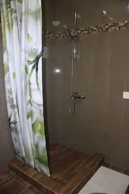 a shower with a shower curtain in a bathroom at Villa Elena Zagora in Neodi