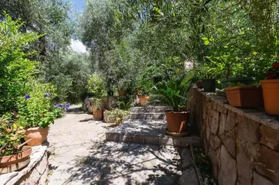 a garden with potted plants and a stone wall at BARBARA SVETI STEFAN in Sveti Stefan
