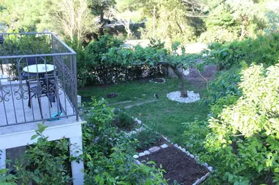 a garden with a tree and a balcony at Villa Lime in Petrovac na Moru