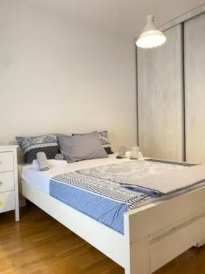a bedroom with a large bed in a room at Apartman Vesna City 2. PG in Podgorica