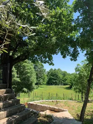 a view of a park with a tree and stairs at Bandici house in Podgorica