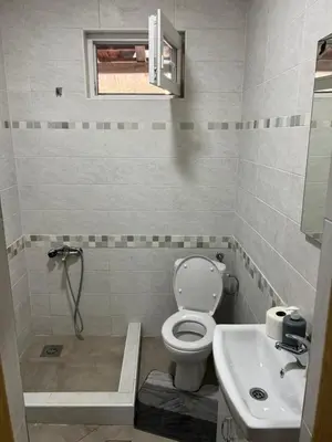 a bathroom with a toilet and a sink at Bandici house in Podgorica