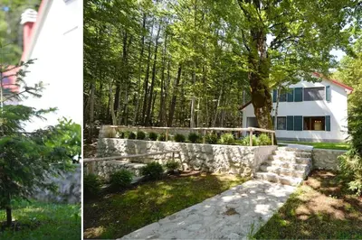 a house with a stone wall and a tree at Forest house in Cetinje