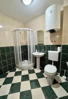 a bathroom with a toilet and a shower and a sink at Apartmani Bojana in Budva
