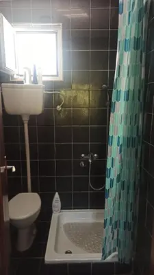 a bathroom with a shower and a toilet and a sink at Lemon Tree in Ulcinj