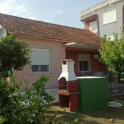 Lemon Tree