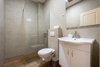 a bathroom with a toilet and a shower and a sink at Villa Andrea 1 in Budva