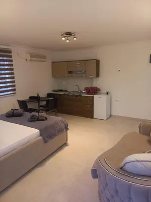 a large room with two beds and a kitchen at Apartments Stankovic & Boat tours in Virpazar