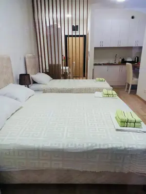 two large beds in a room with a kitchen at Apartment Queen Milena in Budva