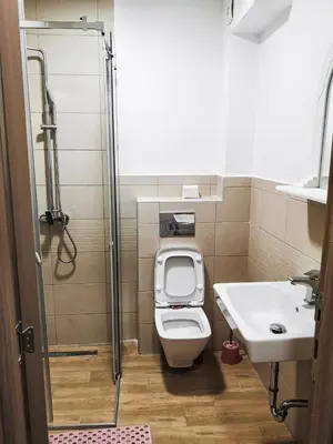 a small bathroom with a toilet and a sink at Apartment Queen Milena in Budva