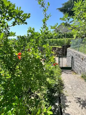 a garden with a bush with red flowers at Kaldrmica in Gornji Brčeli