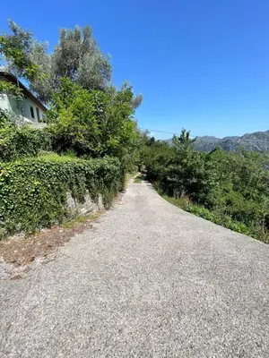 a gravel road with trees and a house on it at Kaldrmica in Gornji Brčeli
