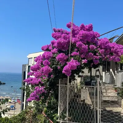 Family Guest House