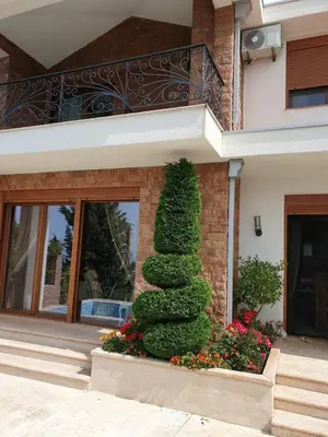 a christmas tree in front of a building at Villa Perla with Sea View in Bar