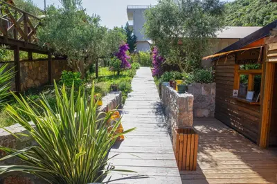 a garden path with plants and a building at Sea Glamping in Kotor