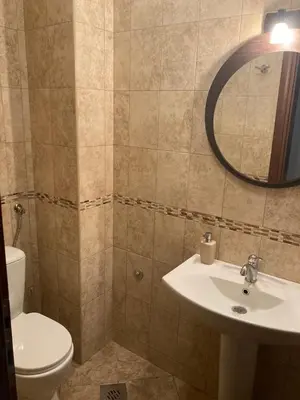 a bathroom with a sink and a toilet and a mirror at Luxury Home Cetinje in Cetinje