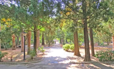 a path through a park with trees and a street light at Studio Apartman Susanj Bar in Bar