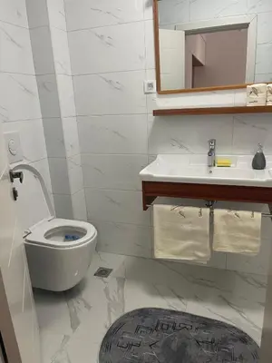 a white bathroom with a toilet and a sink at Capitol Apartments in Ulcinj