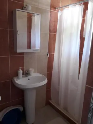 a bathroom with a sink and a shower with a mirror at Apartments Zec in Čanj