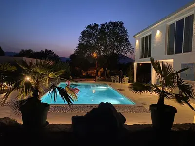 a swimming pool with two palm trees in front of a house at The Rock Star's Villa with Private Pool and Beach in Danilovgrad