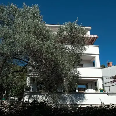 Apartments Đurović