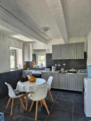 a kitchen with white cabinets and a table and chairs at Old house, Skadar Lake in Cetinje