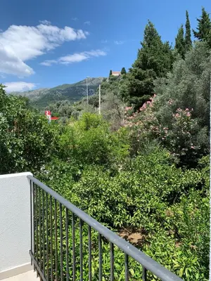a balcony with a view of trees and bushes at Apartment Centar in Buljarica