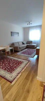 a living room with a couch and a rug at Todor apartment in Bar