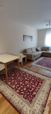 a living room with a couch and a rug at Todor apartment in Bar