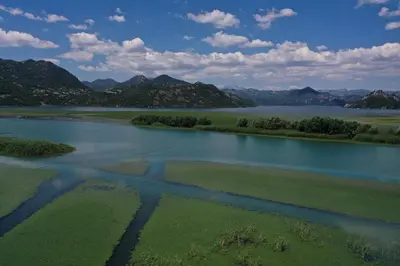 an aerial view of a river with mountains in the background at Lake House Buric in Vranjina