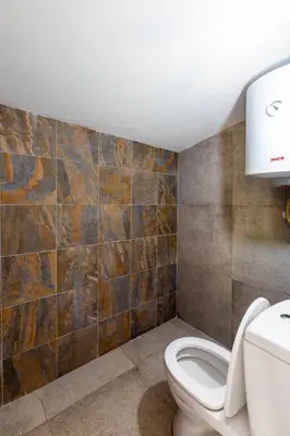 a bathroom with a toilet and a tiled wall at Lake House Buric in Vranjina