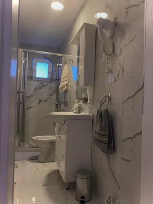 a bathroom with a sink and a toilet and a shower at Apartmani Orlović Bar in Bar