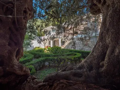 a view of a house through the branches of a tree at Tomy Garden House in Budva