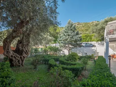 a garden with a tree and trimmed bushes at Tomy Garden House in Budva