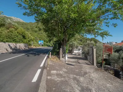 a tree on the side of a road at Tomy Garden House in Budva