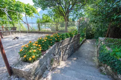 a garden with flowers in a stone wall at BARBARA101 in Kotor