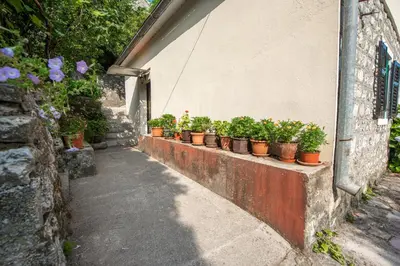 a row of potted plants sitting on a wall at BARBARA101 in Kotor