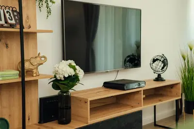 a television on a wooden shelf with a vase of flowers at Baia di Cattaro in Kotor