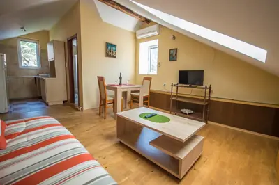 a living room with a couch and a table at Apartments Radimir in Kotor