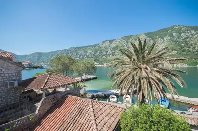 a palm tree next to a body of water at Apartments Radimir in Kotor