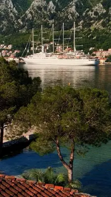 a large white cruise ship in the water at Apartments Radimir in Kotor
