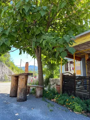 a bench sitting under a tree next to a building at Una Apartment Cetinje in Cetinje