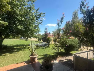 a garden with a table and a potted plant at Large Three-Bedroom Apartment 2 Min from Airport in Podgorica